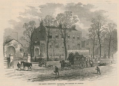 The Brown Institution, Vauxhall, for Diseases of Animals by English School