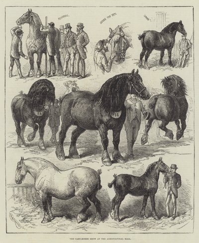The Cart-Horse Show at the Agricultural Hall by English School