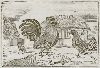 The Cock and the Jewel by English School