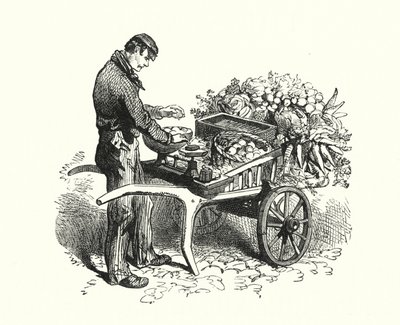 The Costermonger by English School
