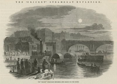 The Cricket Steamboat Explosion by English School