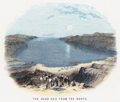 The Dead Sea from the North by English School
