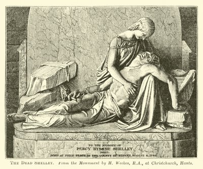 The Dead Shelley by English School