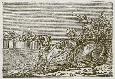 The Dog and the Wolf by English School