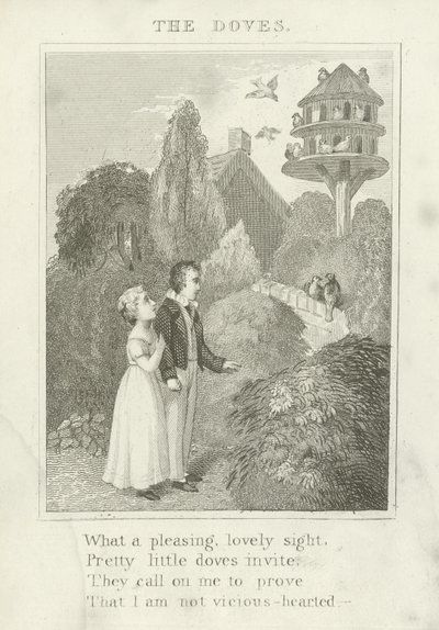 The Doves by English School