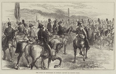 The Duke of Edinburgh in Dublin, Review in Phoenix Park by English School
