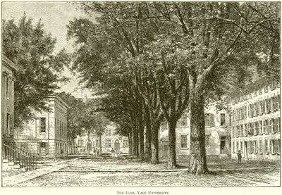 The Elms, Yale University by English School