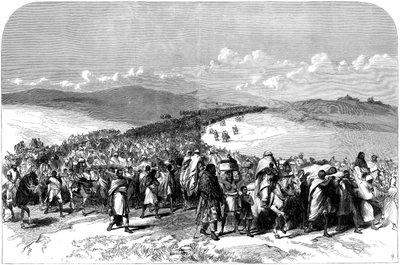 The Exodus of Theodore
