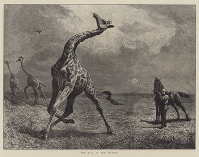 The Fall of the Giraffe by English School