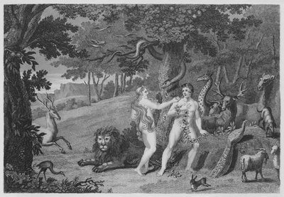 The Forbidden Fruit, Genesis, III, 6 by English School