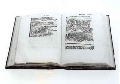 The Fox and the Grapes, from an Illustrated Translation of Aesop