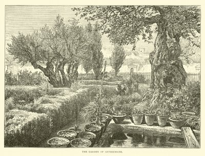 The Garden of Gethsemane by English School