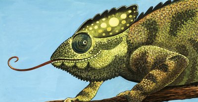 The Giant Chameleon by English School