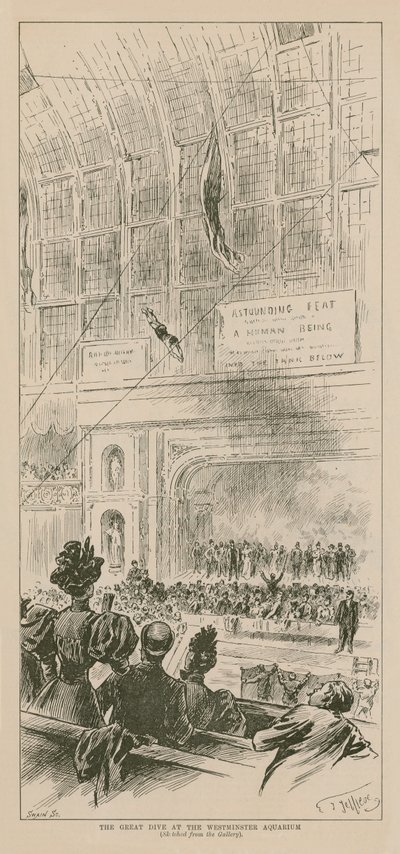 The Great Dive at the Westminster Aquarium by English School