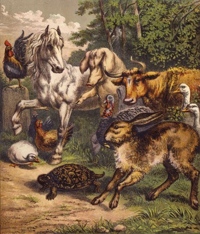 The Hare and the Tortoise by English School