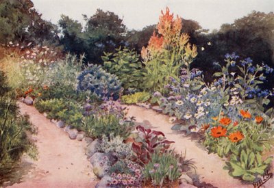 The Herb-Garden: Herb borders in June by English School