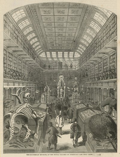 The Hunterian Museum at the Royal College of Surgeons by English School