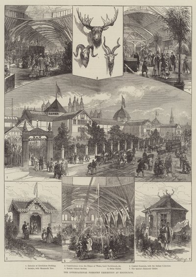 The International Forestry Exhibition at Edinburgh by English School