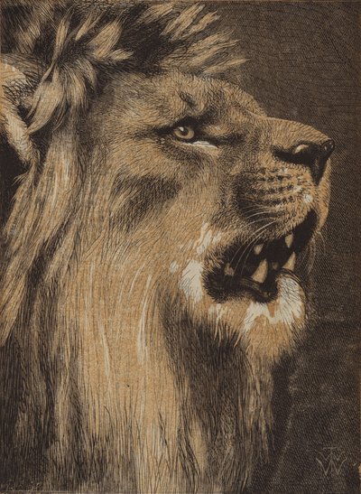The King of the Forest by English School