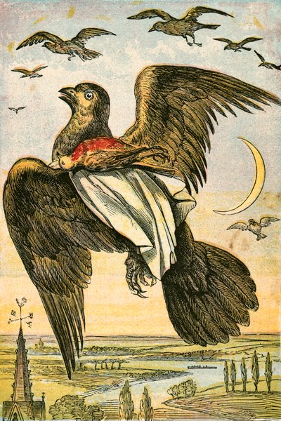 The Kite and Cock Robin by English School