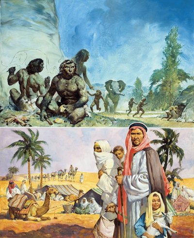 The Land that Became a Desert by English School