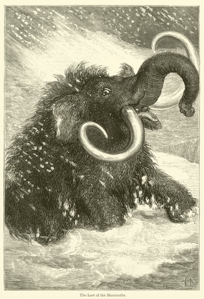 The Last of the Mammoths by English School