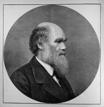 The Late Mr. C. R. Darwin, FRS, LLD by English School