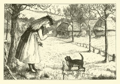 The Lazy Cat by English School