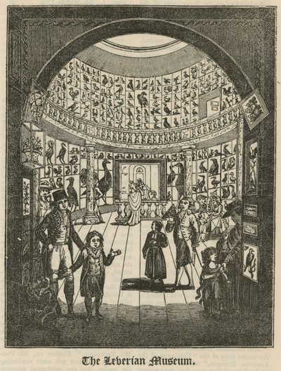 The Leverian Museum by English School