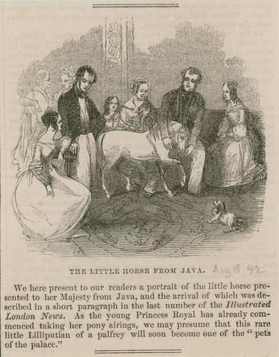 The Little Horse from Java by English School