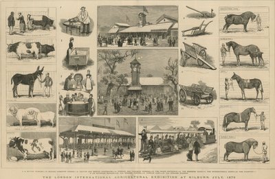 The London International Agricultural Exhibition at Kilburn, July 1879 by English School