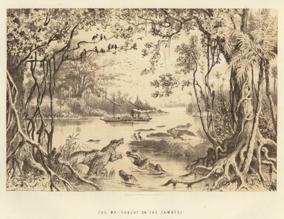 The Ma-Robert on the Zambesi by English School