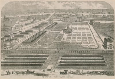 The Metropolitan Cattle Market, Copenhagen Fields, London by English School