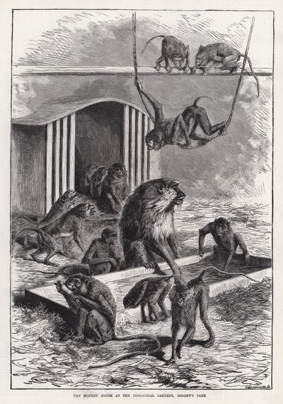 The Monkey House at the Zoological Gardens, Regent