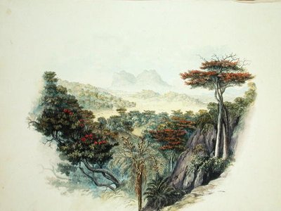 The Mountains, Ceylon by English School