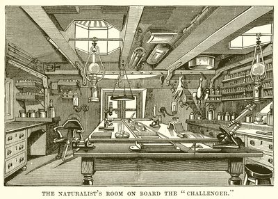 The Naturalist