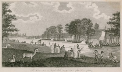 The Naumachia in Hyde Park in Celebration of the Peace of 1814 by English School