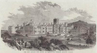 The New Asylum for Idiots, at Earlswood Common, Redhill, Surrey by English School