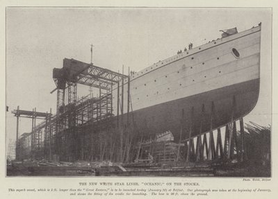 The New White Star Liner, 