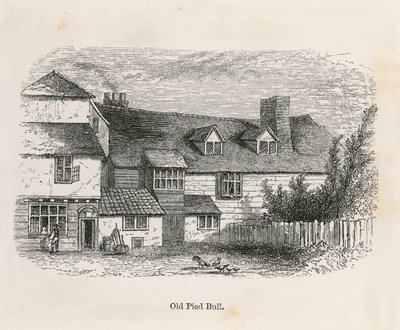 The Old Pied Bull (rear) by English School