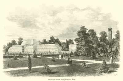 The Palm-house and Museum, Kew by English School