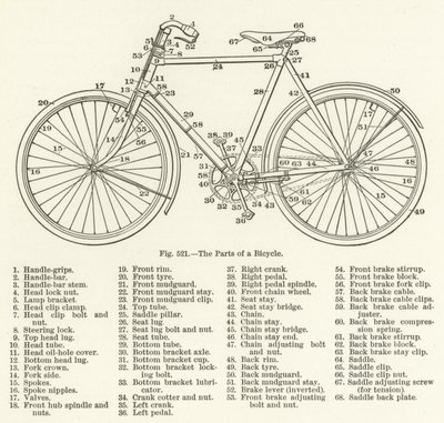 The Parts of a Bicycle by English School