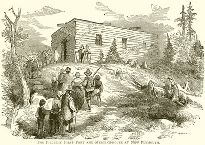 The Pilgrims