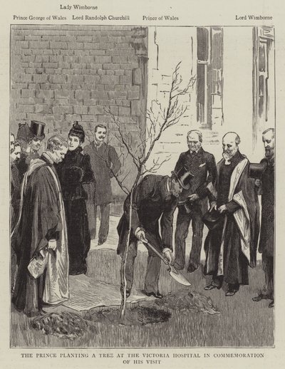 The Prince planting a Tree at the Victoria Hospital in Commemoration of his Visit by English School
