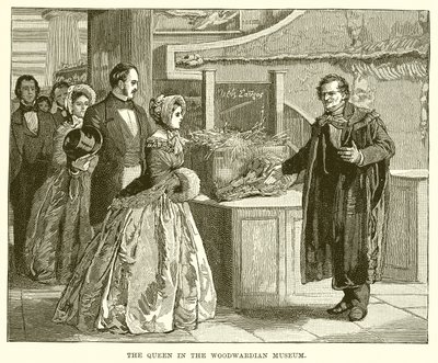 The Queen in the Woodwardian Museum by English School