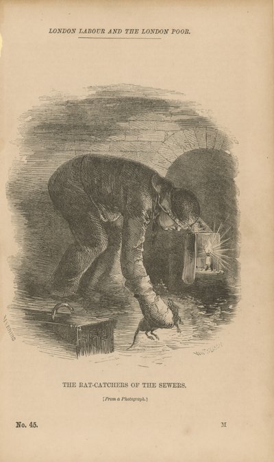 The Rat-catchers of the Sewers by English School