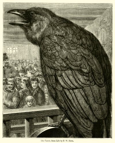 The Raven, from Life by English School