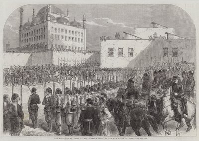 The Reception at Cairo of the Sultan