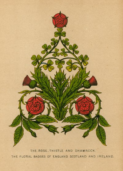 The Rose, Thistle and Shamrock. The Floral Badges of England, Scotland and Ireland by English School