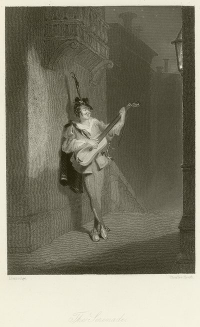 The Serenade by English School